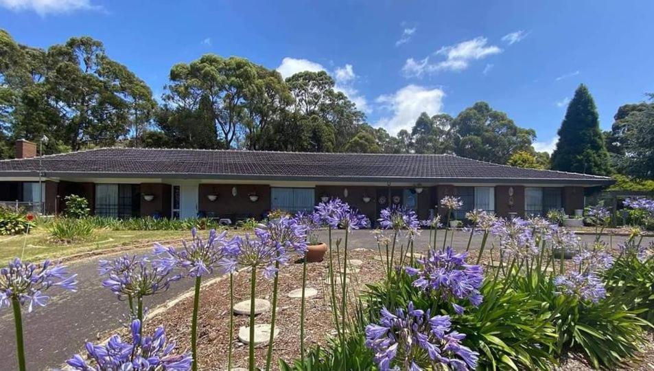 Heavenly Farm B & B Tasmania Boat Harbour Eksteriør bilde